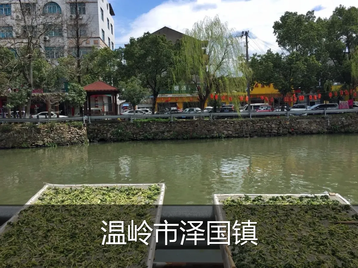 温岭市泽国镇